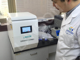 �Ϻ�����˾���b����-ë�l(f��)��ĥ�b����Ʒ-���һ�w��ĥ�xDHFSTPRP-CL24